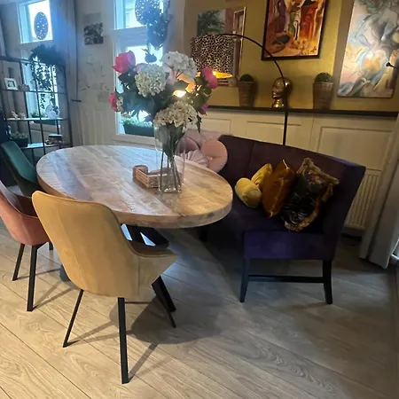 Seastreet Robert Zandvoort