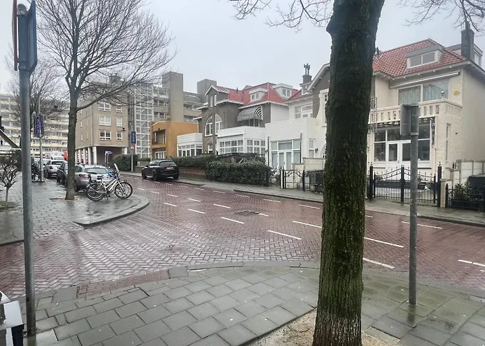 Seastreet Robert * זנדוורט