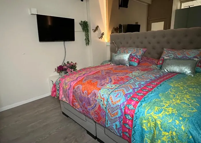 Seastreet Robert זנדוורט