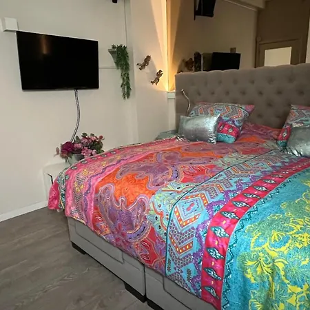 Seastreet Robert Zandvoort